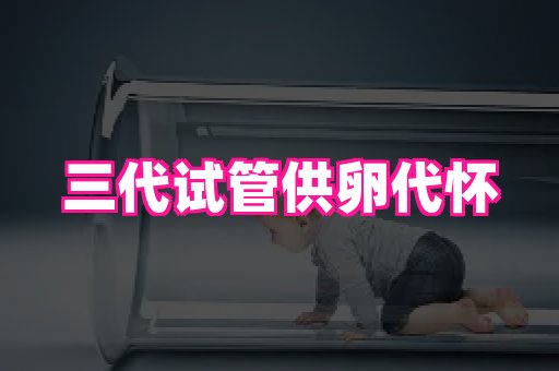 821孕网 1
