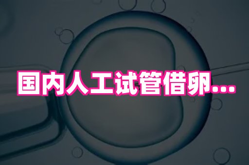 821孕网 4